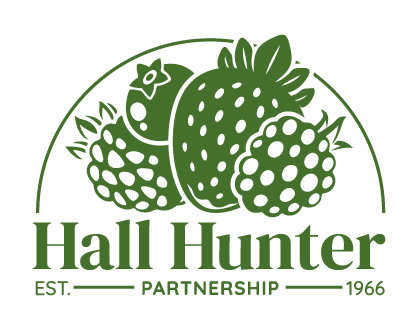 Hall Hunter Partnership logo