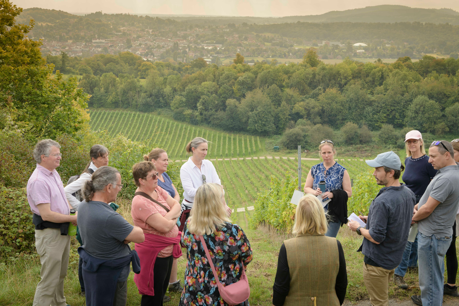 Members listening to a host on a hillside above a vineyard with views across the Surrey Hills